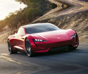 Senetle Tesla Roadster